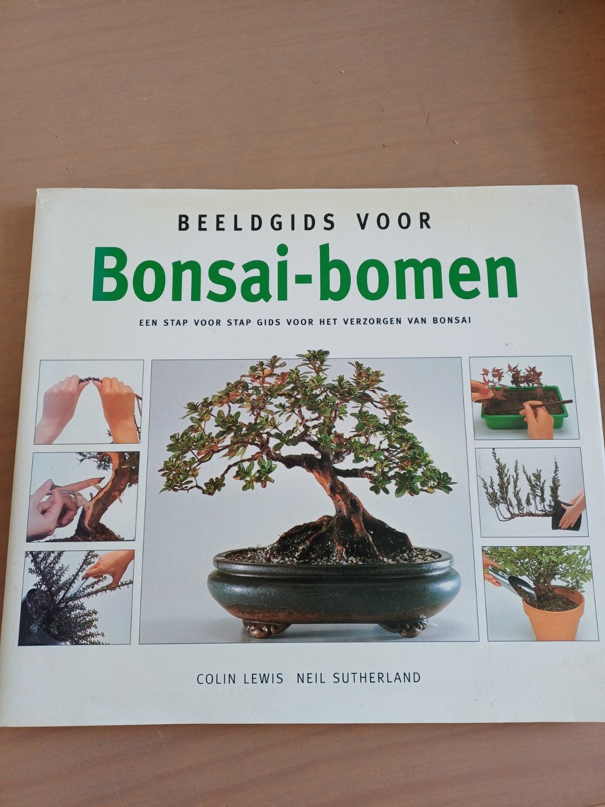 Beeldgids voor Bonsai-bomen: Stap voor stap verzorging, Ophalen of Verzenden, Zo goed als nieuw, Colin Lewis, Neil Sutherland