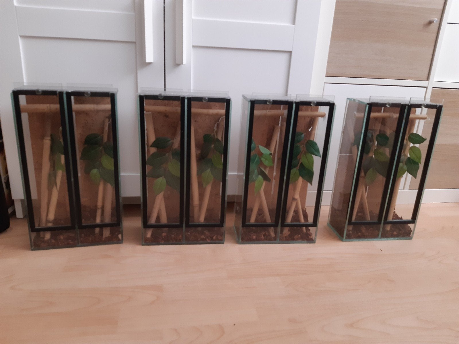 Terraria te koop, Dieren en Toebehoren, Ophalen, Nieuw