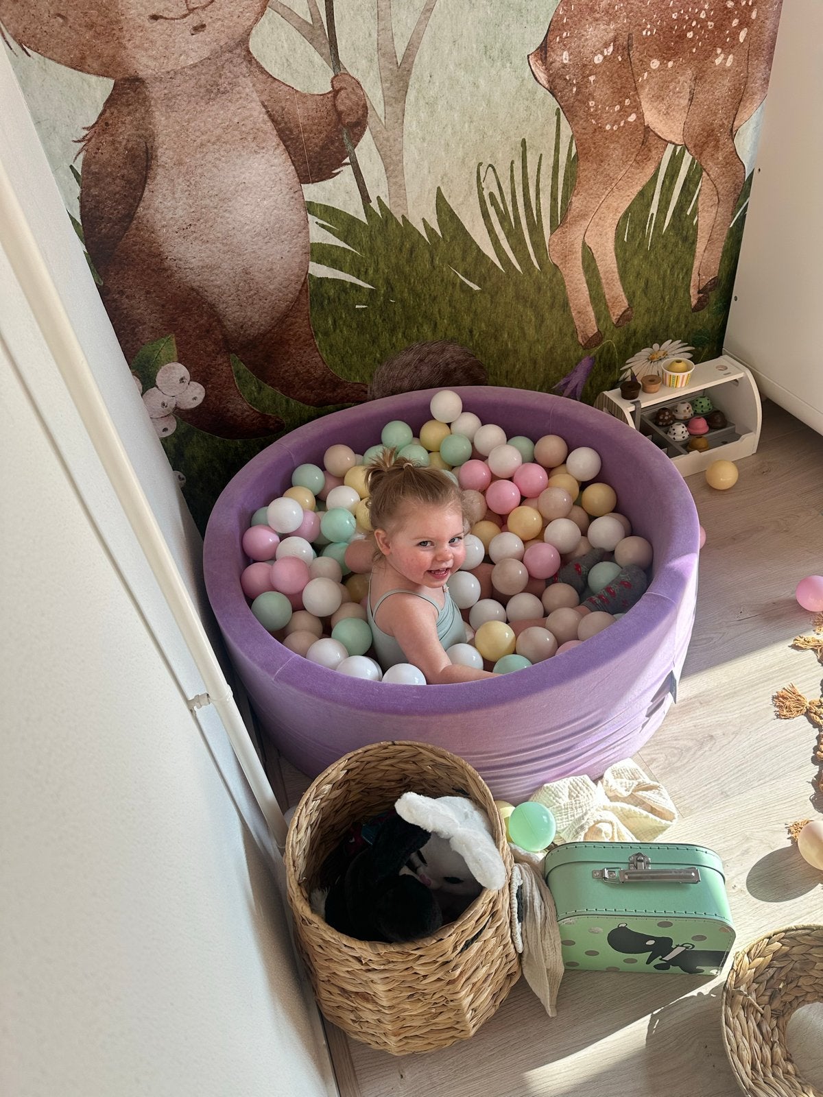 Paarse ballenbak met pastelkleurige ballen, Ophalen, Gebruikt, Overige typen