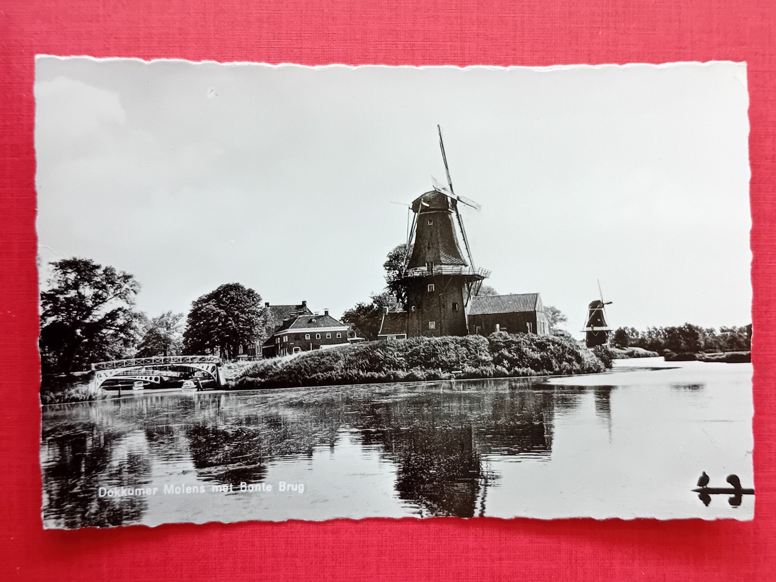 Ansichtkaart Dokkumer Molens met Bonte Brug - HEMA, Ophalen of Verzenden, 1940 tot 1960, Ongelopen, Friesland