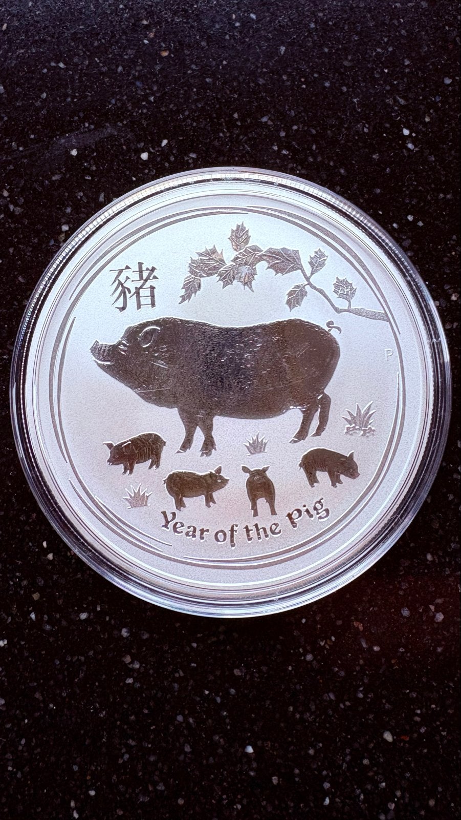 Lunar 2019 Jaar van het Varken - 2 oz Zilveren Munt 999, Ophalen of Verzenden, Zilver