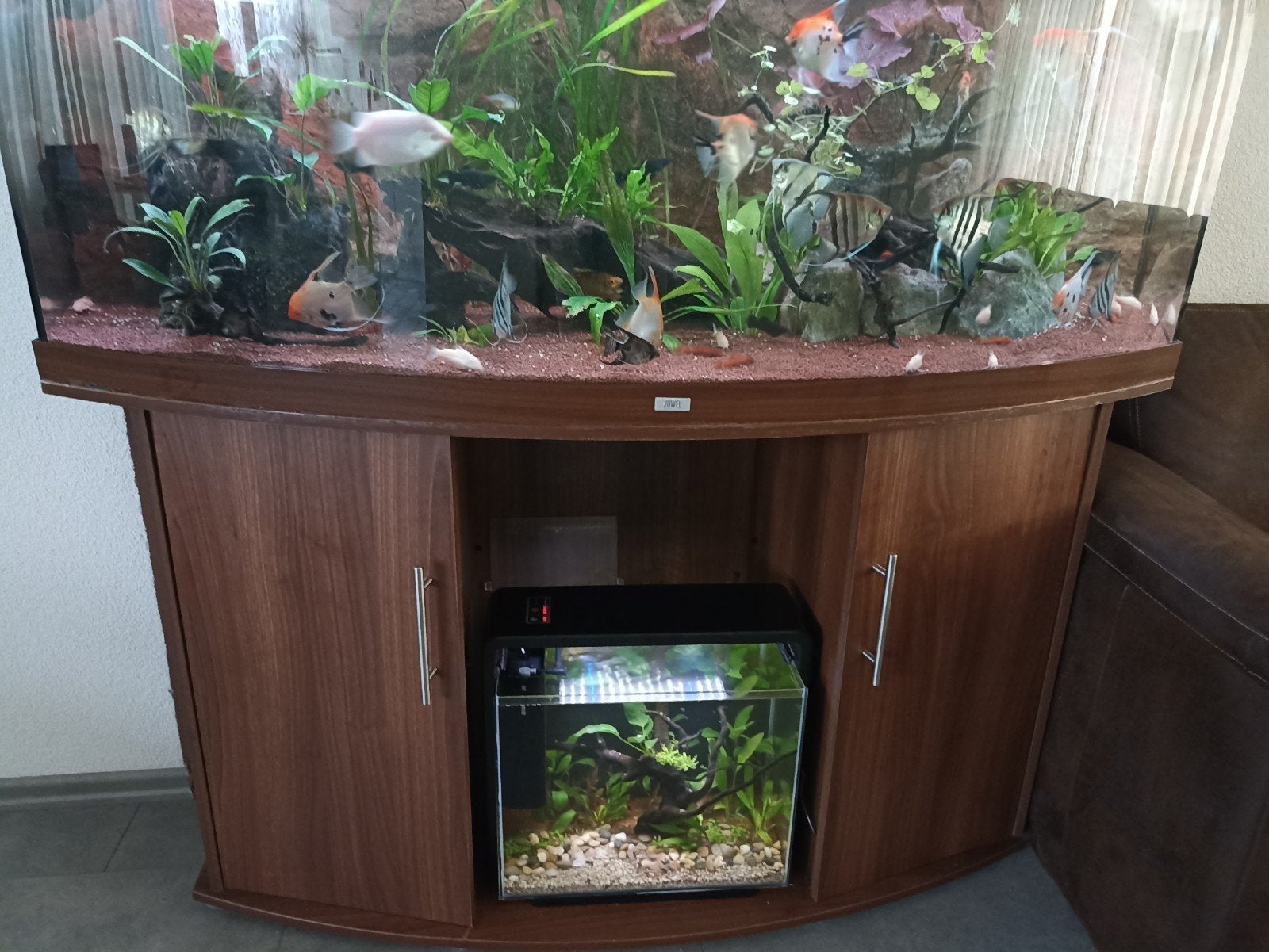 450 Jawel vision, Dieren en Toebehoren, Ophalen, Gebruikt, Leeg aquarium