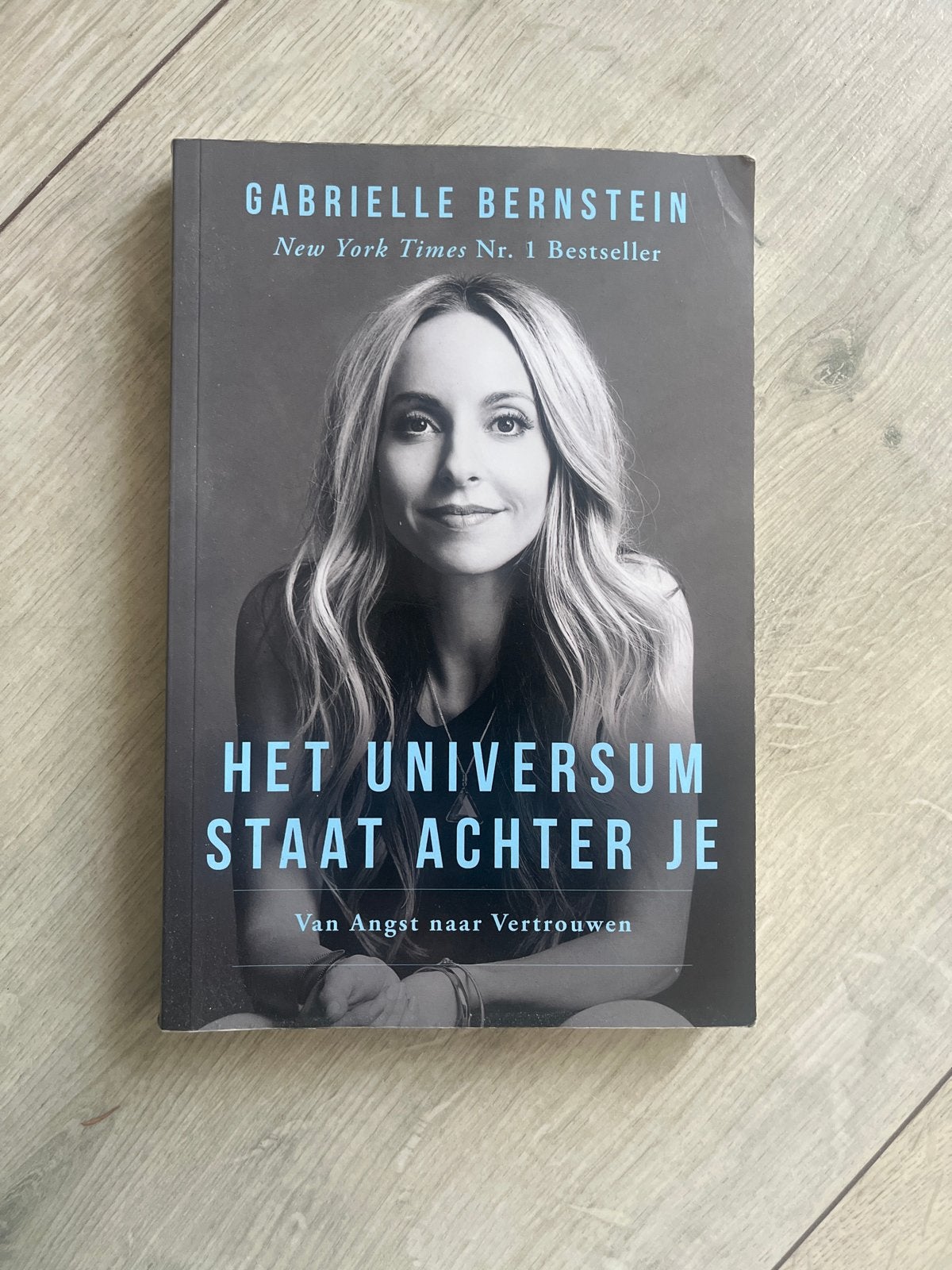 Het Universum Staat Achter Je - Gabrielle Bernstein, Boeken, Ophalen of Verzenden, Gelezen, Spiritualiteit algemeen, Achtergrond en Informatie