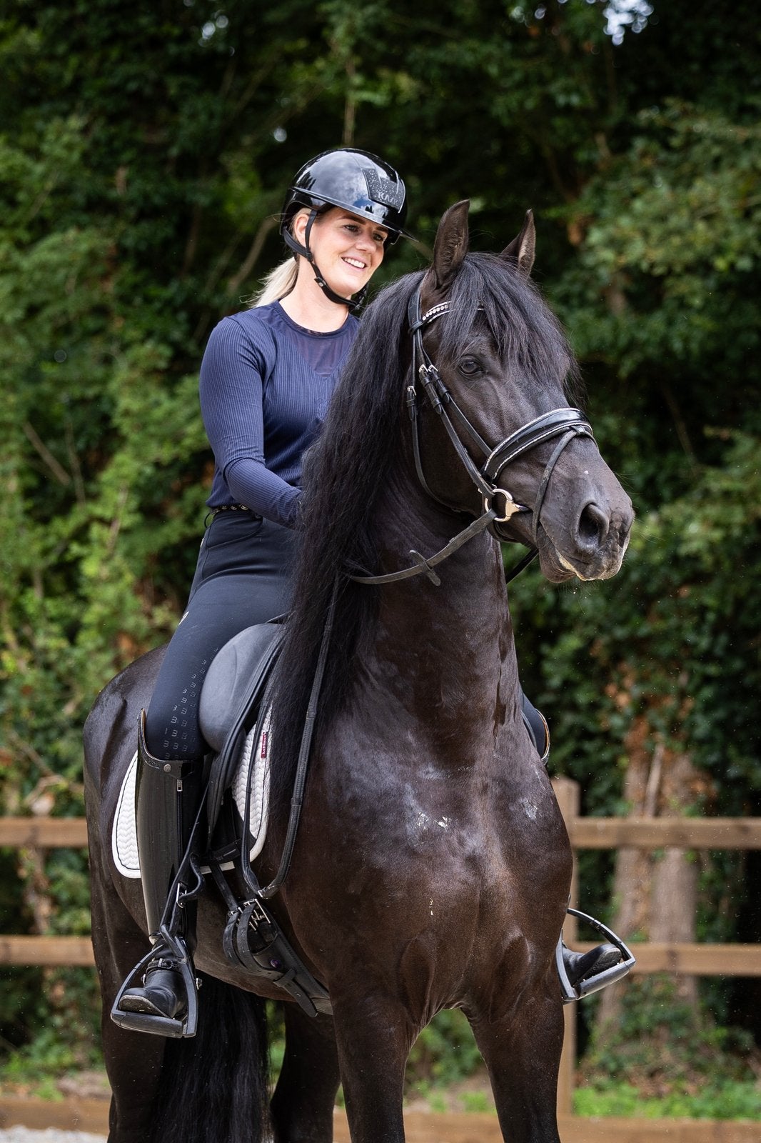 4-jarige Friese hengst te koop, Dressuurpaard, Hengst, 3 tot 6 jaar, L