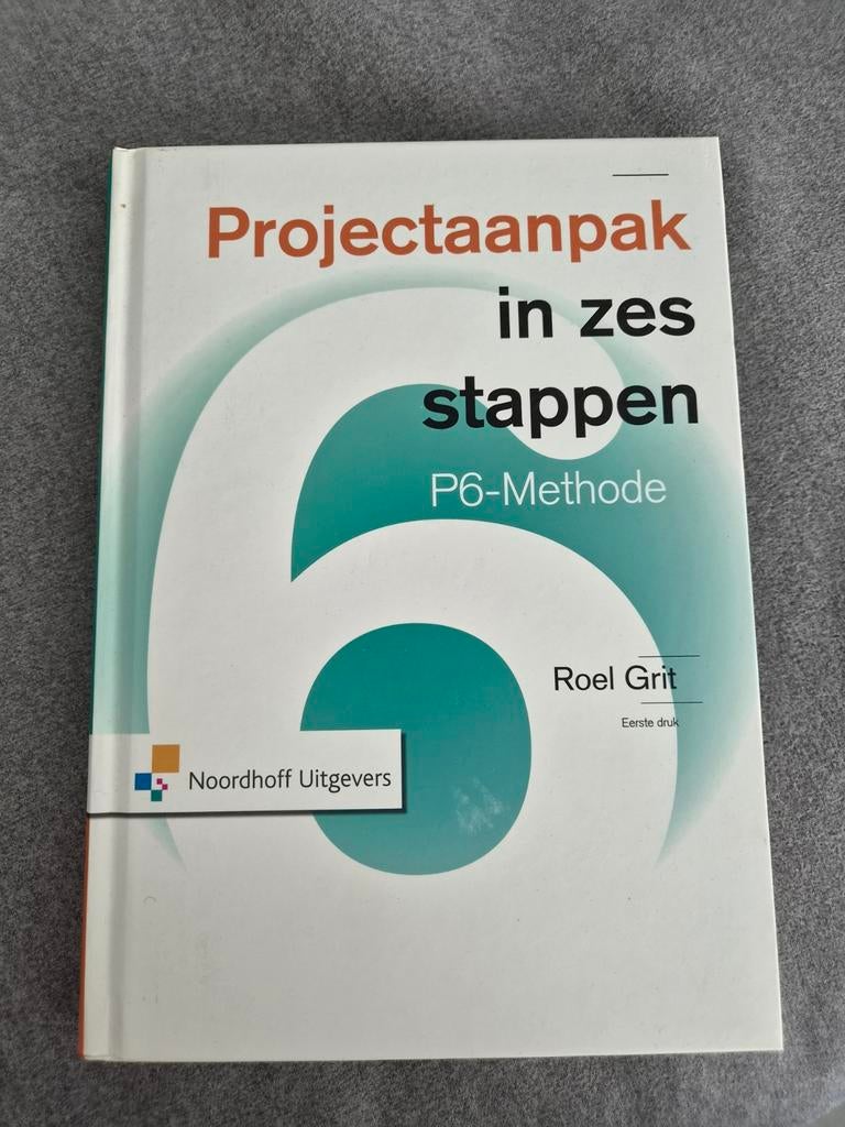 Roel Grit - Projectaanpak in zes stappen, Sociale wetenschap, Ophalen of Verzenden, Nieuw, Roel Grit
