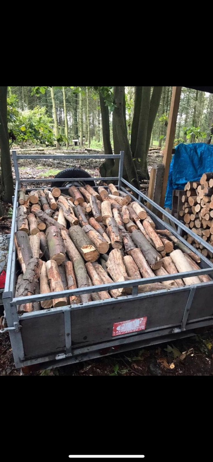 Eiken brandhout, 6 m³ of meer, Ophalen, Eikenhout, Stammen