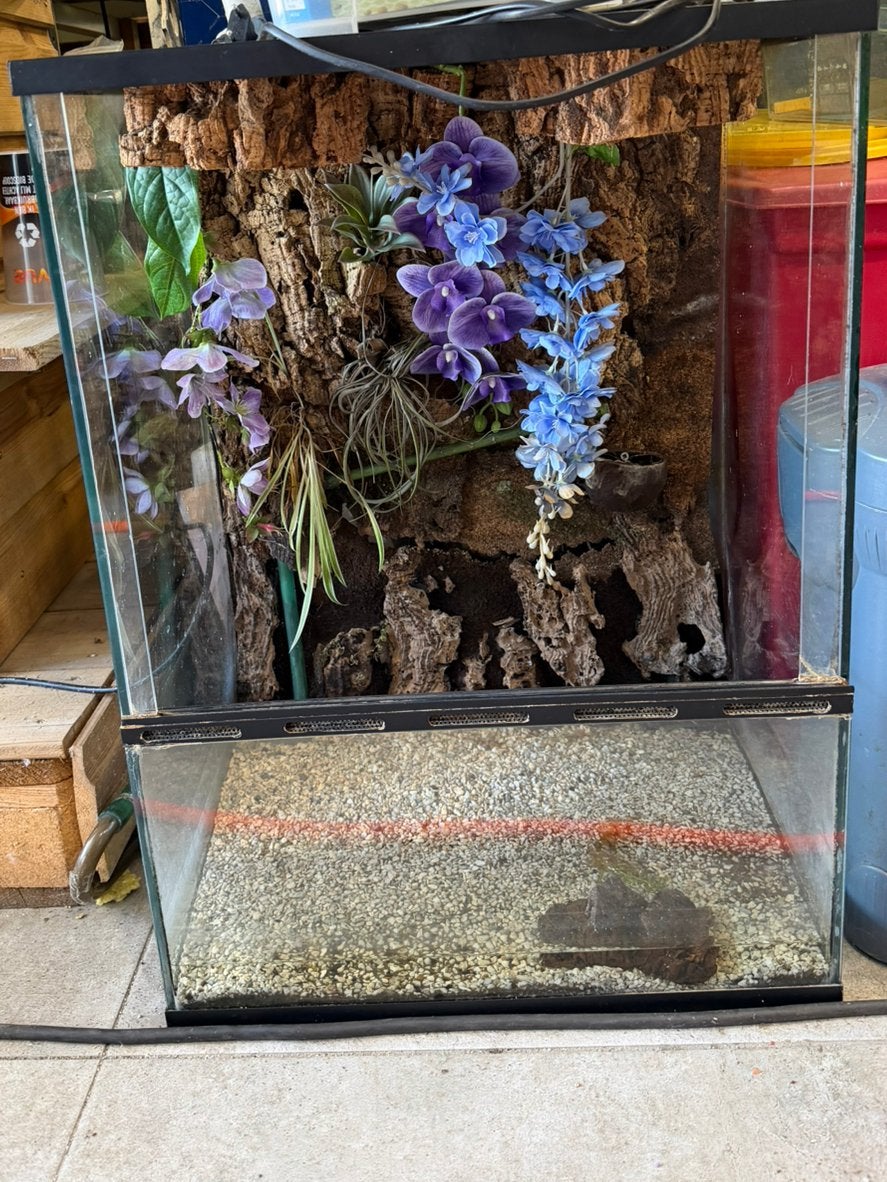 Paludarium, Ophalen, Zo goed als nieuw