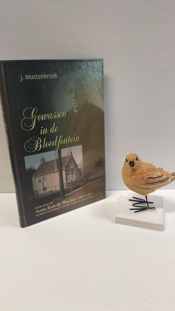 Mastenbroek, J.; Gewassen in de Bloedfontein, Ophalen of Verzenden, Gelezen, Christendom | Protestants