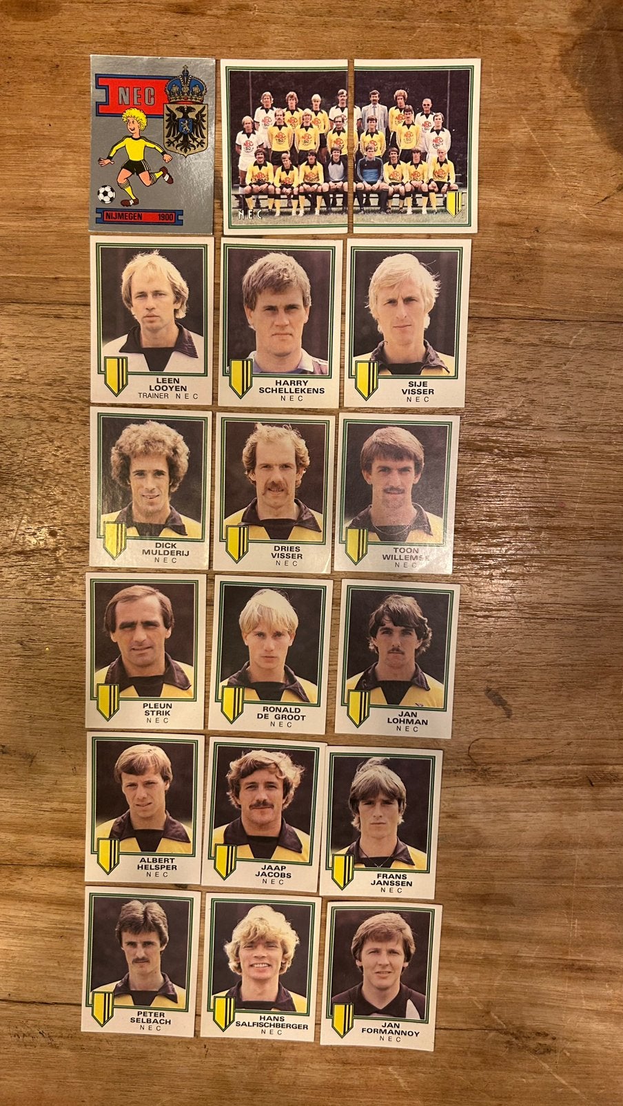 Panini Voetbal 81 plaatjes NEC compleet 18x, Verzenden, Zo goed als nieuw, Meerdere plaatjes
