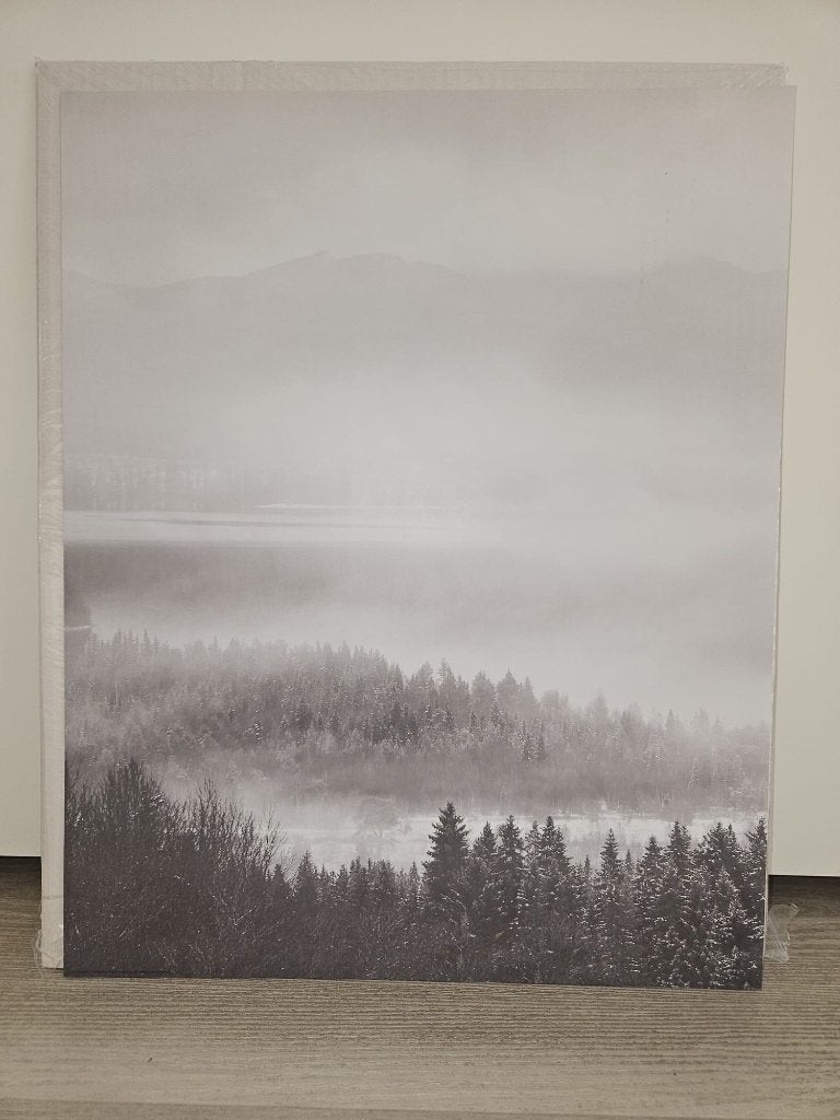 Ikea poster boslandschap 40x50 cm in mist. Nieuwstaat., Verzamelen, Posters, Zo goed als nieuw, Dier of Natuur, Rechthoekig Staand