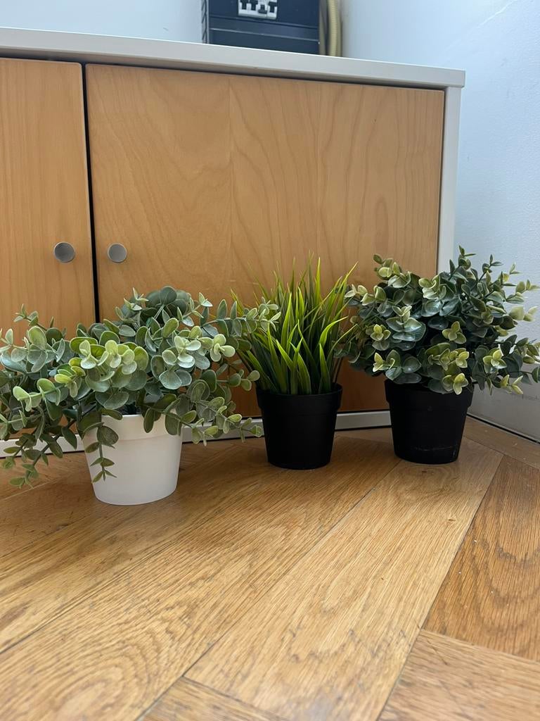 Artificial plants, Ophalen, Zo goed als nieuw