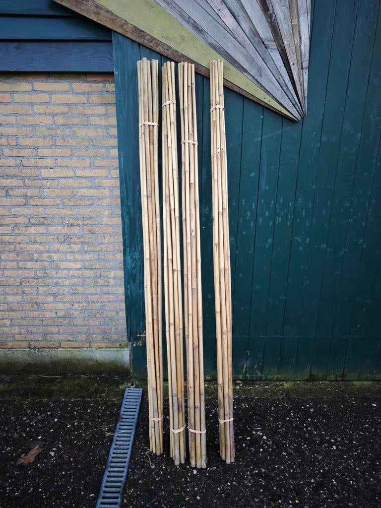 Bamboestokken - vanaf €2,50, Tuin en Terras, Ophalen, Gebruikt, Palen, Hardhout