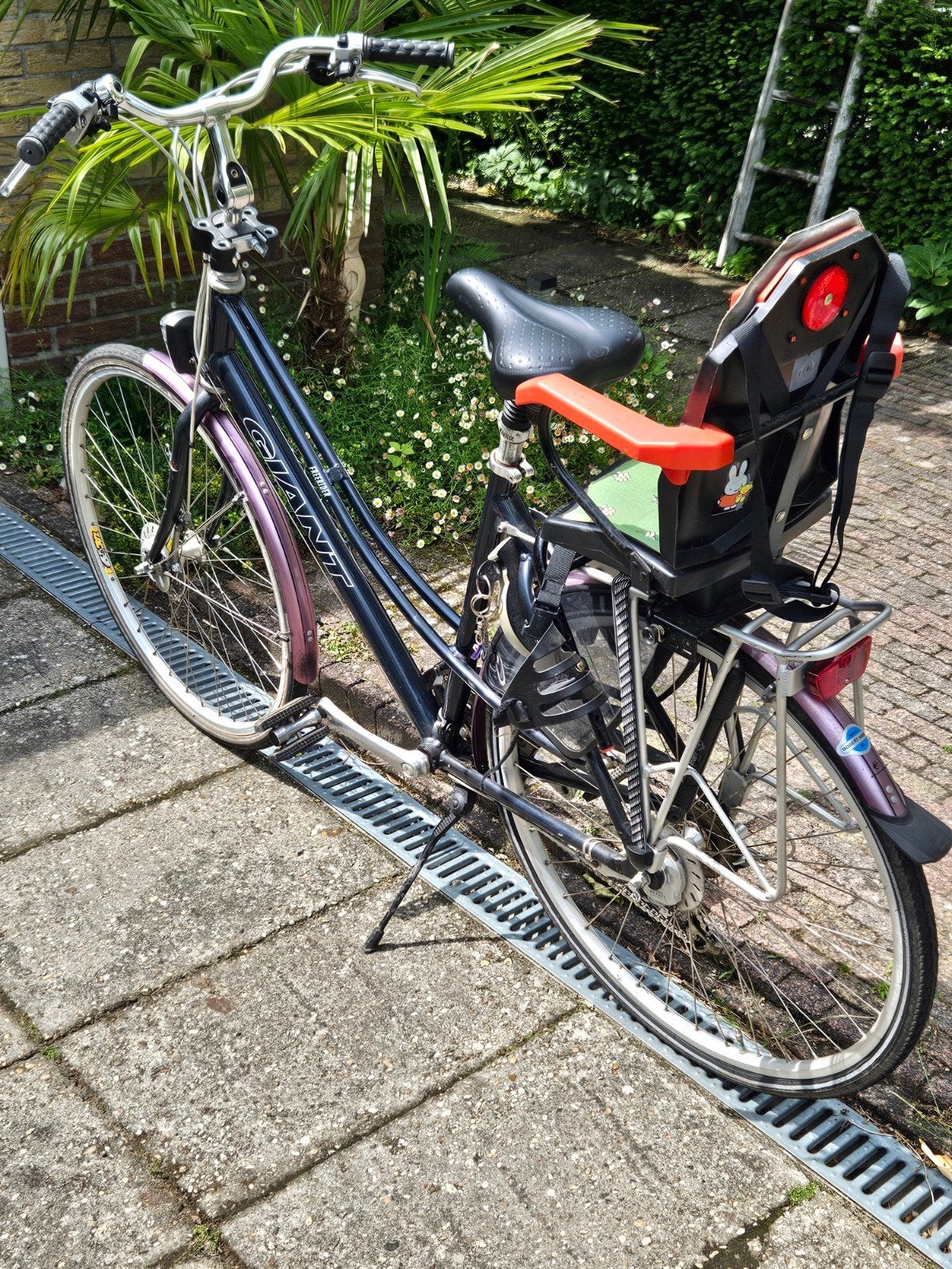 Giant Passenger damesfiets met kinderzitje, Versnellingen, Trommelrem, 53 tot 56 cm, Gebruikt