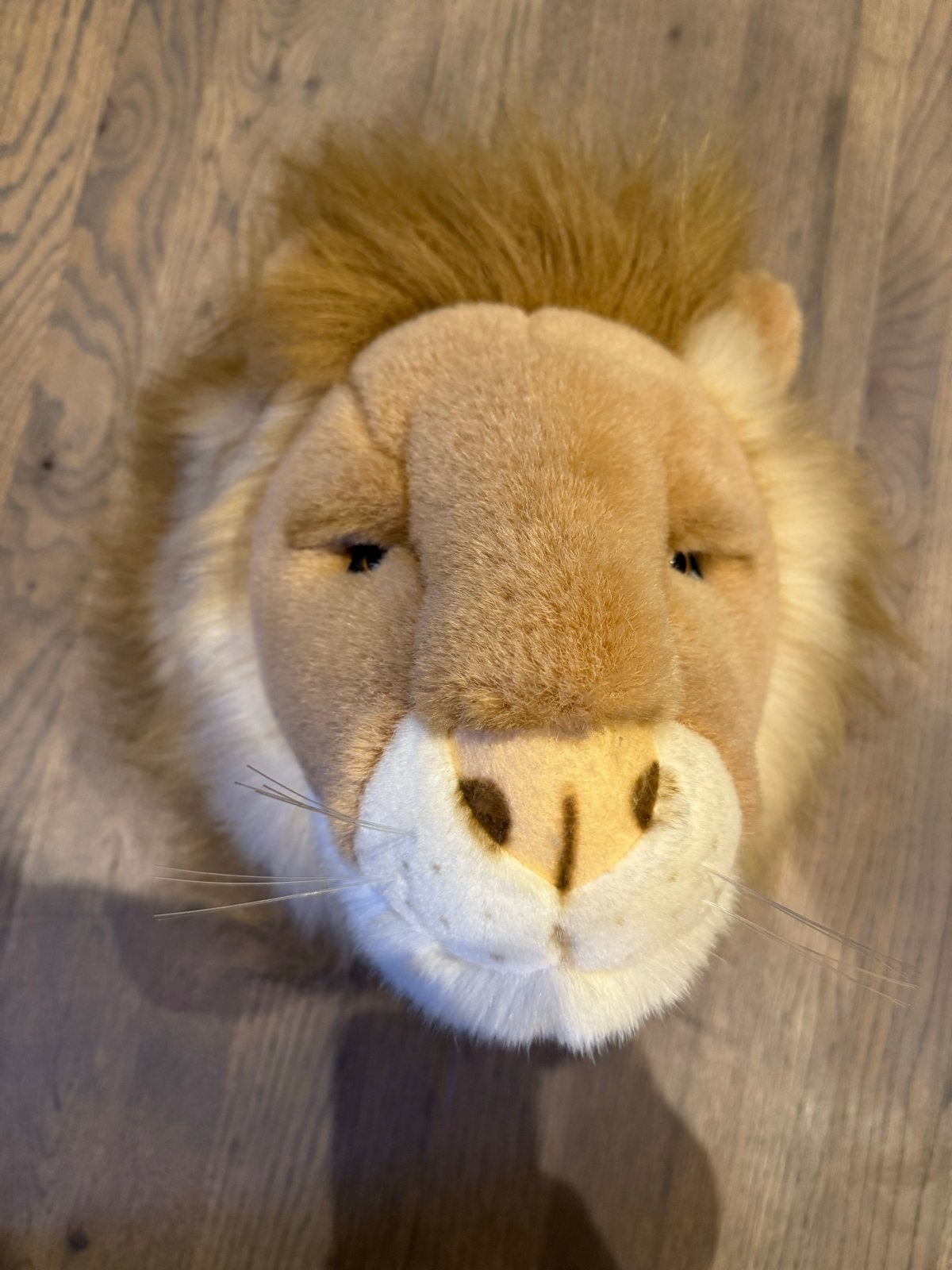 Knuffel Leeuw Hoofd - Wanddecoratie merk Bibib, Ophalen of Verzenden, Zo goed als nieuw, Middelgroot (20 tot 80 cm), Leeuw