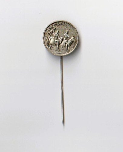 volmetaal speld speeltuin Linnaeushof, Bennebroek, Ophalen of Verzenden, Overige onderwerpen, Speldje of Pin