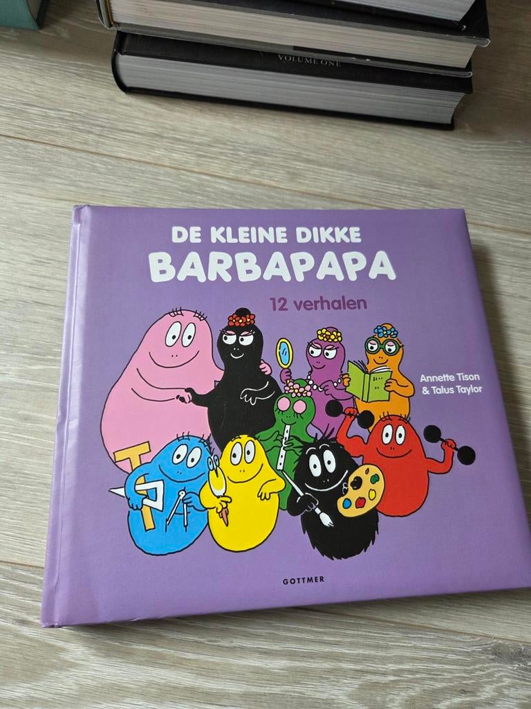 De kleine dikke Barbapapa, Ophalen of Verzenden, Zo goed als nieuw