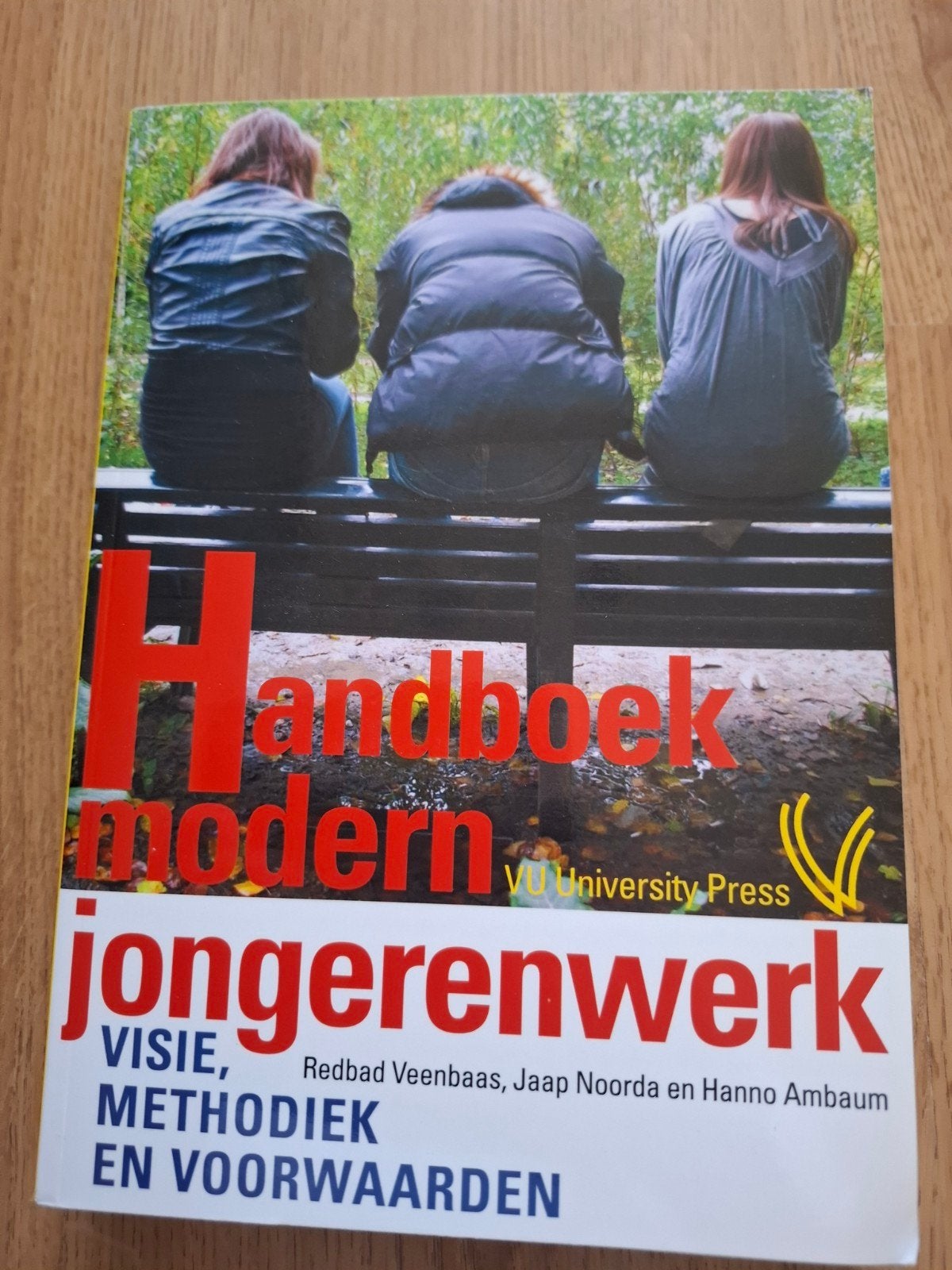 Redbad Veenbaas - Handboek modern jongerenwerk, Redbad Veenbaas; Hanno Ambaum; Jaap Noorda, Sociale wetenschap, Ophalen of Verzenden