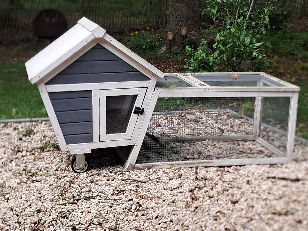Konijnenhok gratis, Dieren en Toebehoren, Knaagdieren en Konijnen | Hokken en Kooien, Gebruikt, Konijn, Hok, 75 tot 110 cm