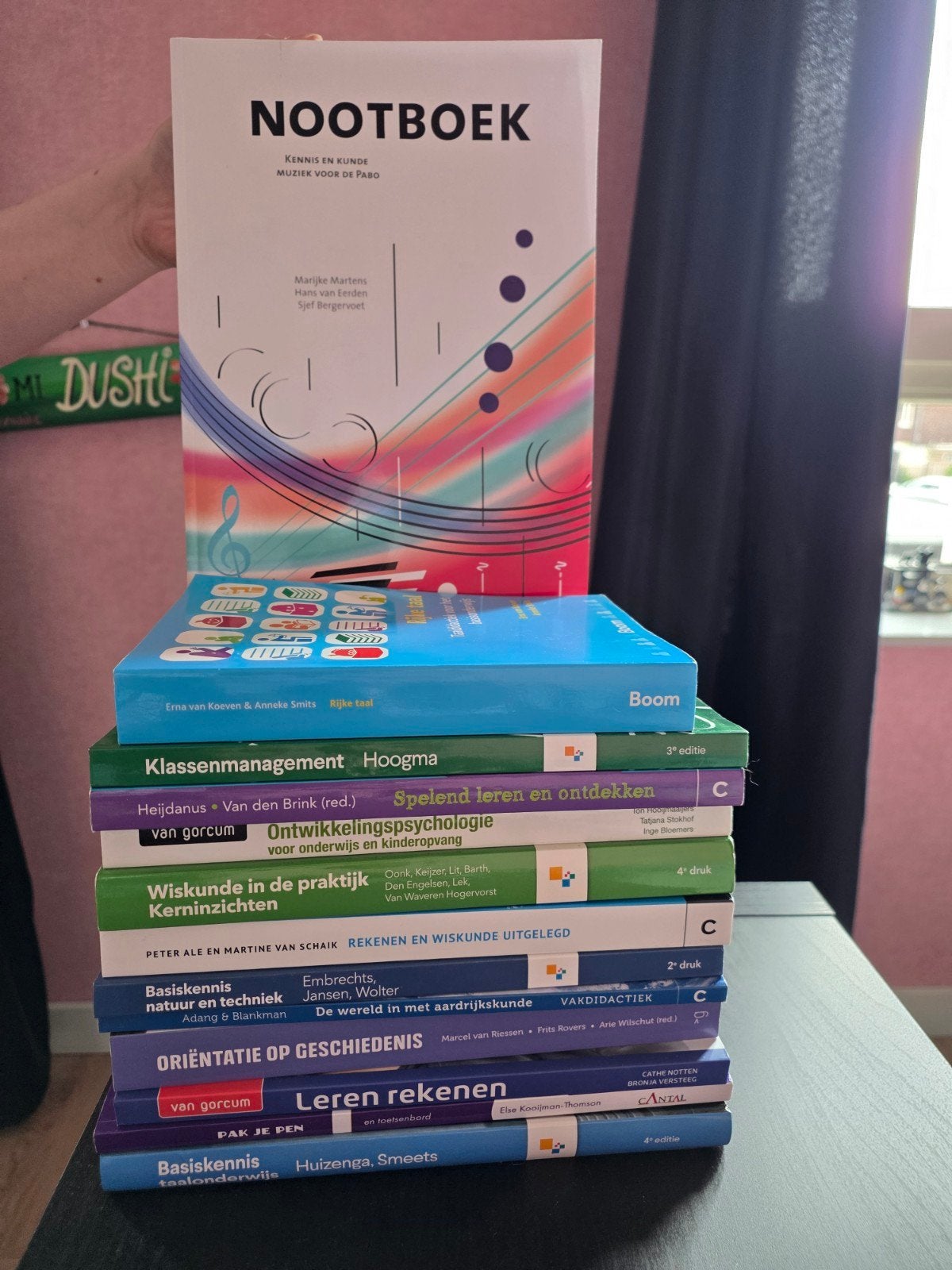 Schoolboeken 1e jaar PABO, Ophalen, Zo goed als nieuw, HBO