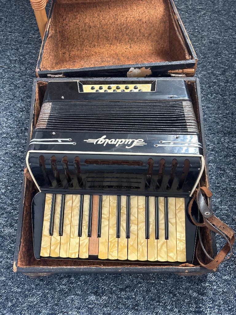 Accordeon Ludroig, Muziek en Instrumenten, Accordeons, Overige merken, Gebruikt, Met koffer, Ophalen of Verzenden