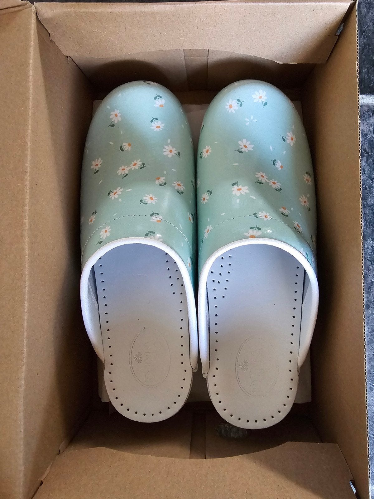 Dina clogs, nieuw in doos, maat 39, Dina Clogs, Ophalen of Verzenden, Nieuw