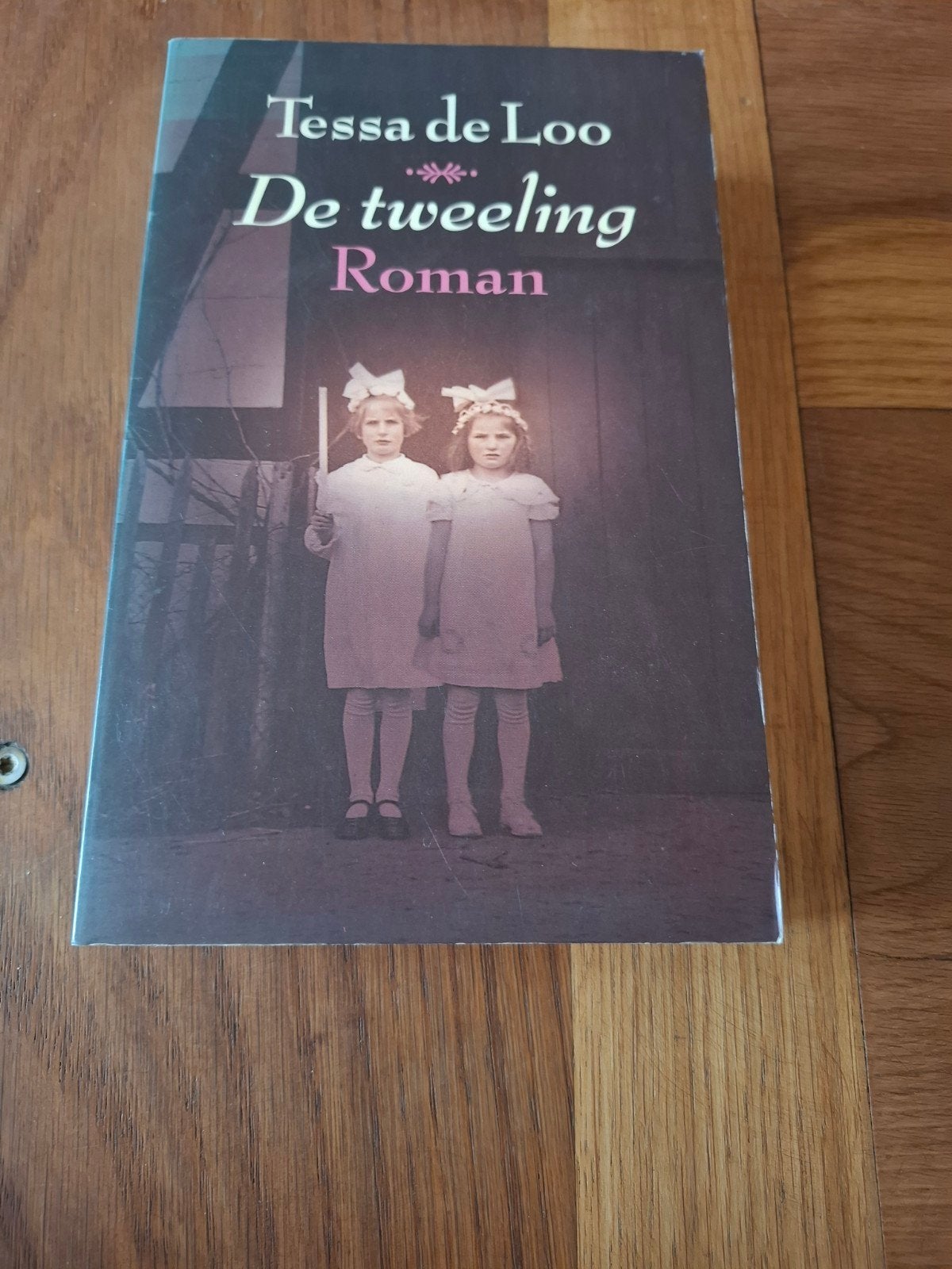 De Tweeling - Tessa de Loo (Roman), Ophalen, Zo goed als nieuw, Tessa de Loo, Nederland