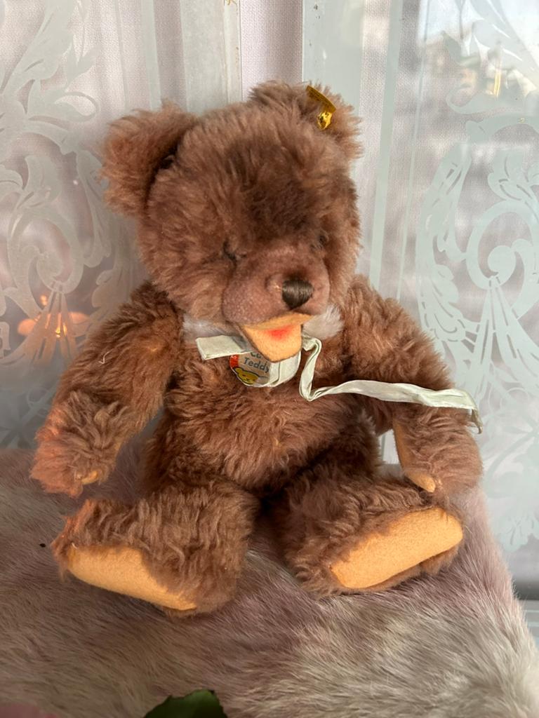 Steiff Cosy teddy compl mer knopf im ohr en kartonen kaartje, Ophalen, Gebruikt