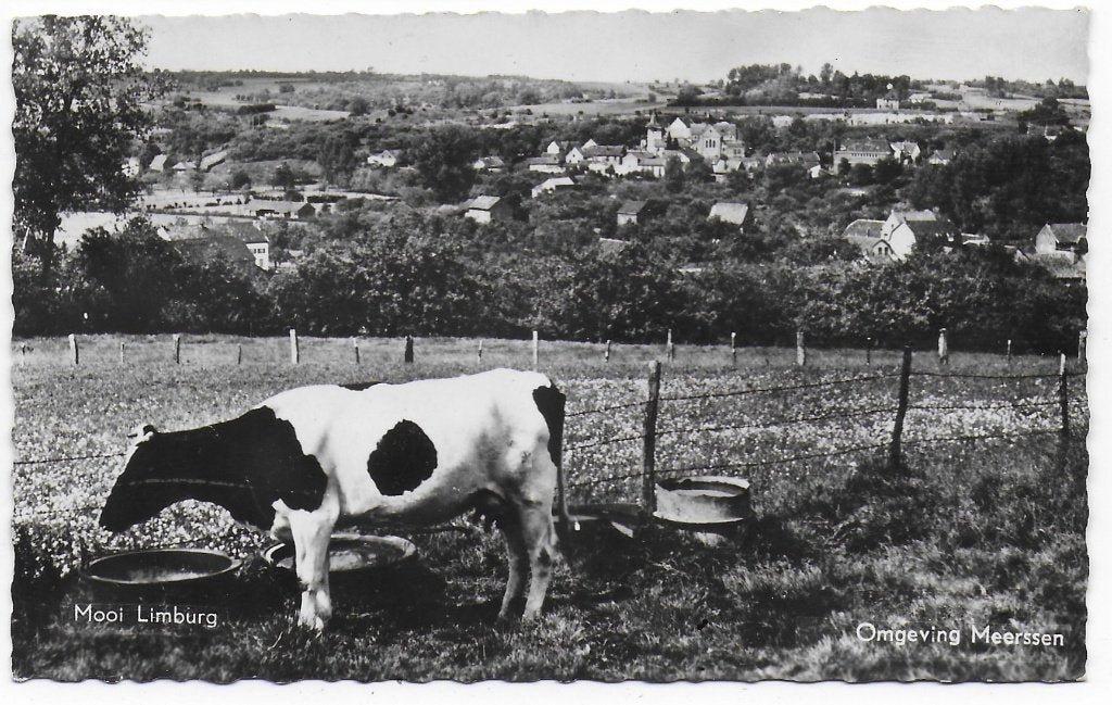 Omgeving Meerssen Oude Ongelopen Ansichtkaart ( B5216), Verzamelen, Ophalen of Verzenden, 1980 tot heden, Ongelopen