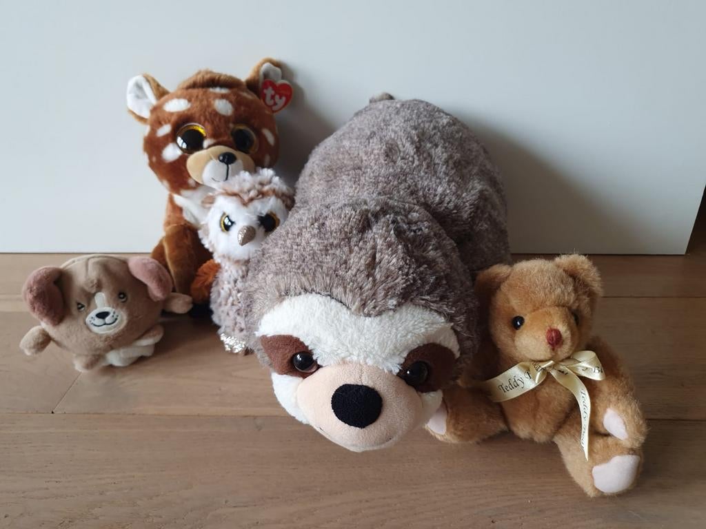 Leuke set van 5 verschillende knuffels, Gebruikt, Overige karakters, Beer, Ophalen of Verzenden