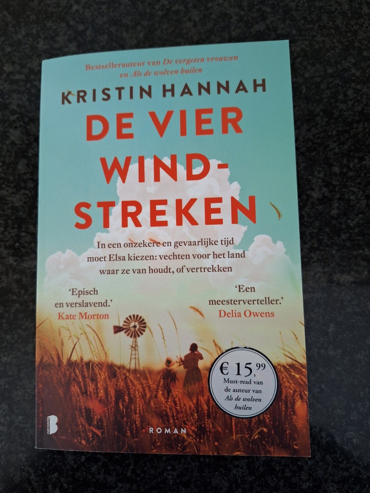 De vier windstreken  Kristin Hannah, Boeken, Chicklit, Ophalen of Verzenden