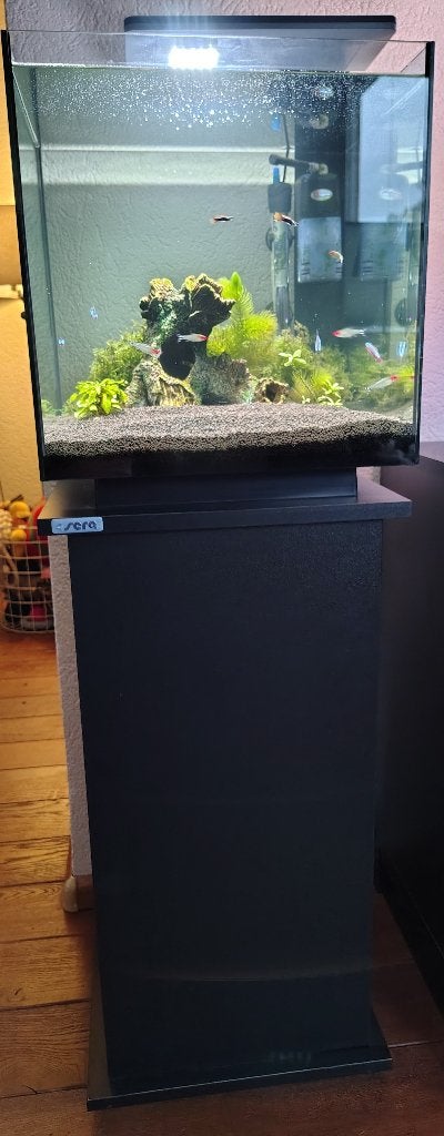 Aquarium | QUBIQ 60 Pro | 60 Liter | Meubel (Kast SERA), Dieren en Toebehoren, Ophalen, Gebruikt, Sera, Inclusief vissen