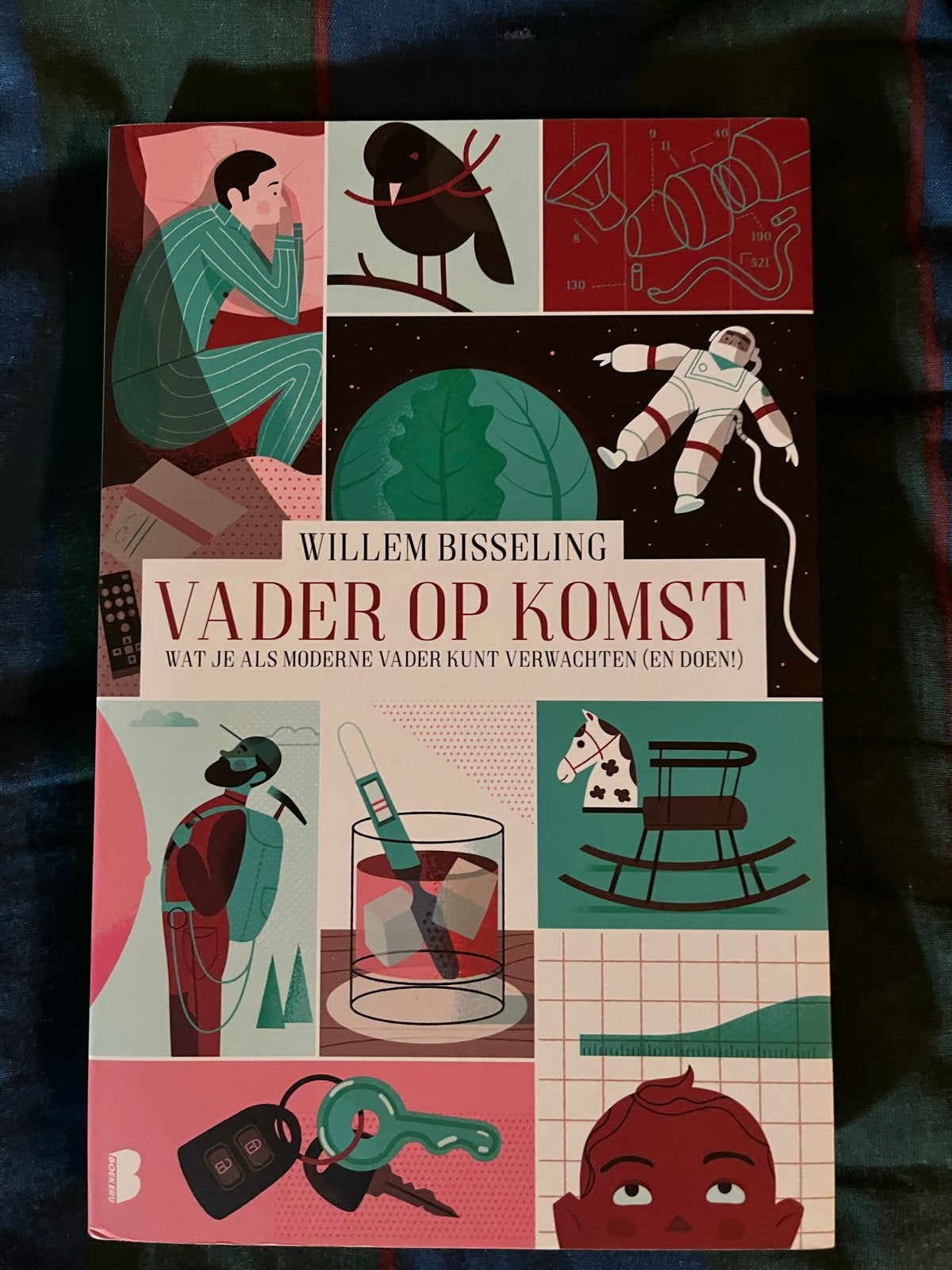 Vader op Komst: Wat je als moderne vader kunt verwachten, Boeken, Ophalen of Verzenden, Gelezen, Zwangerschap en Bevalling