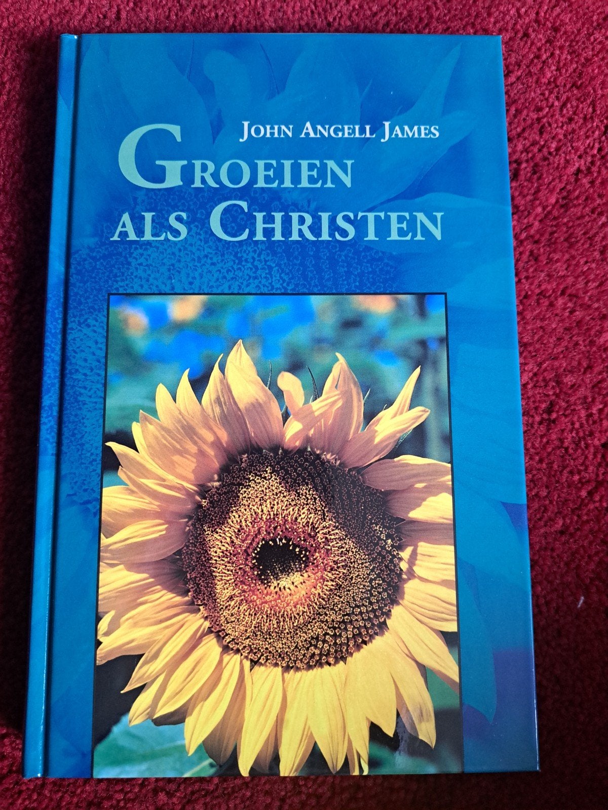Groeien als Christen - John Angell James (Christelijk boek), Ophalen of Verzenden, Zo goed als nieuw, John Angell James, Christendom | Protestants