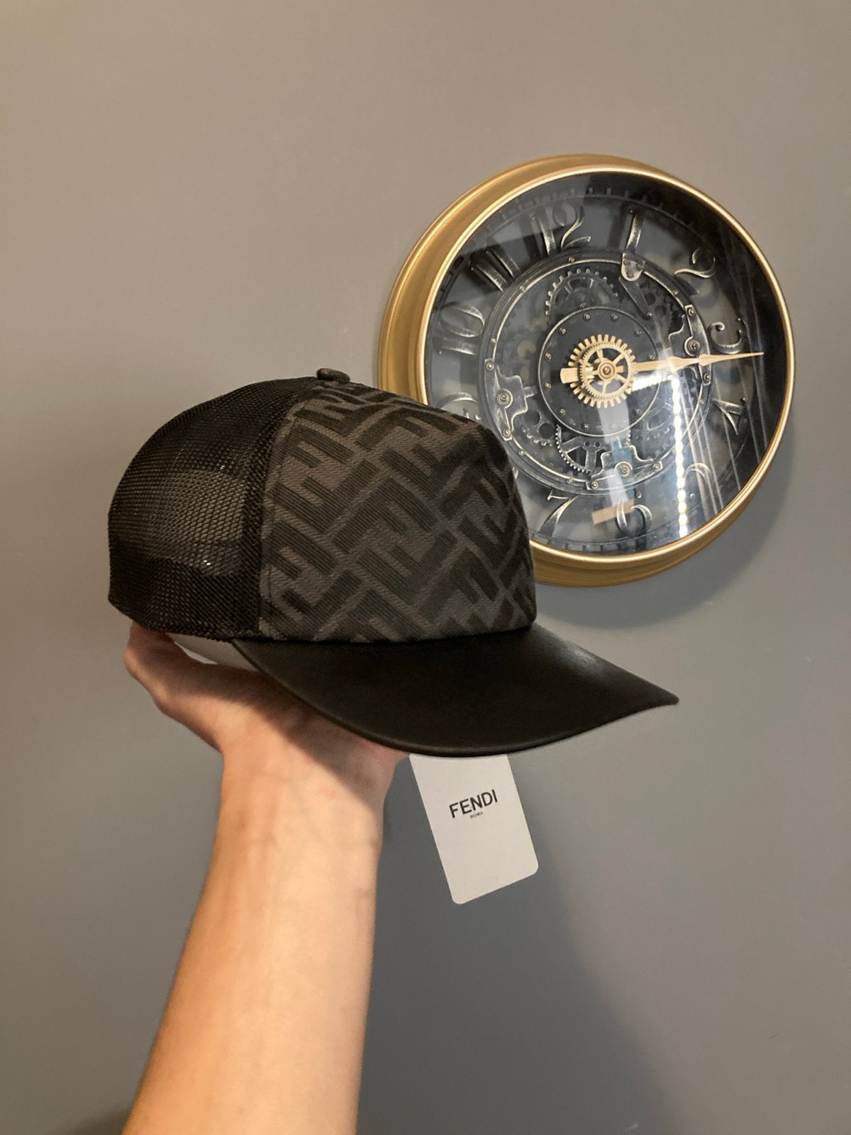 Fendi Pet - Nieuw met kaartjes, Ophalen of Verzenden, Nieuw, One size fits all, Pet