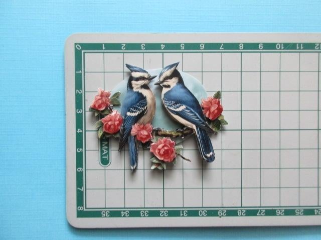 y666 Vogels, Verzenden, Nieuw, Overige thema's, Overige typen