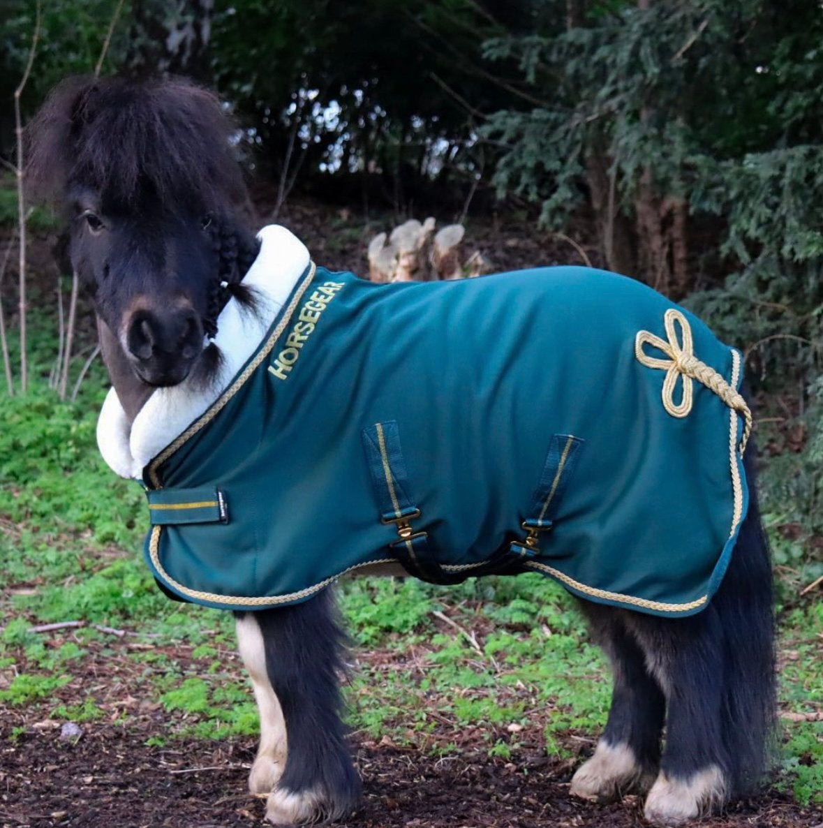 Horsegear fleecedeken/showdeken, Dieren en Toebehoren, Ophalen of Verzenden, Zo goed als nieuw