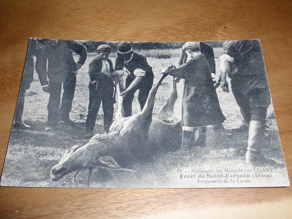 Jacht Jager Prepareren Geschoten Wild Hert, Verzenden, Voor 1920, Ongelopen, Ambachten of Beroep