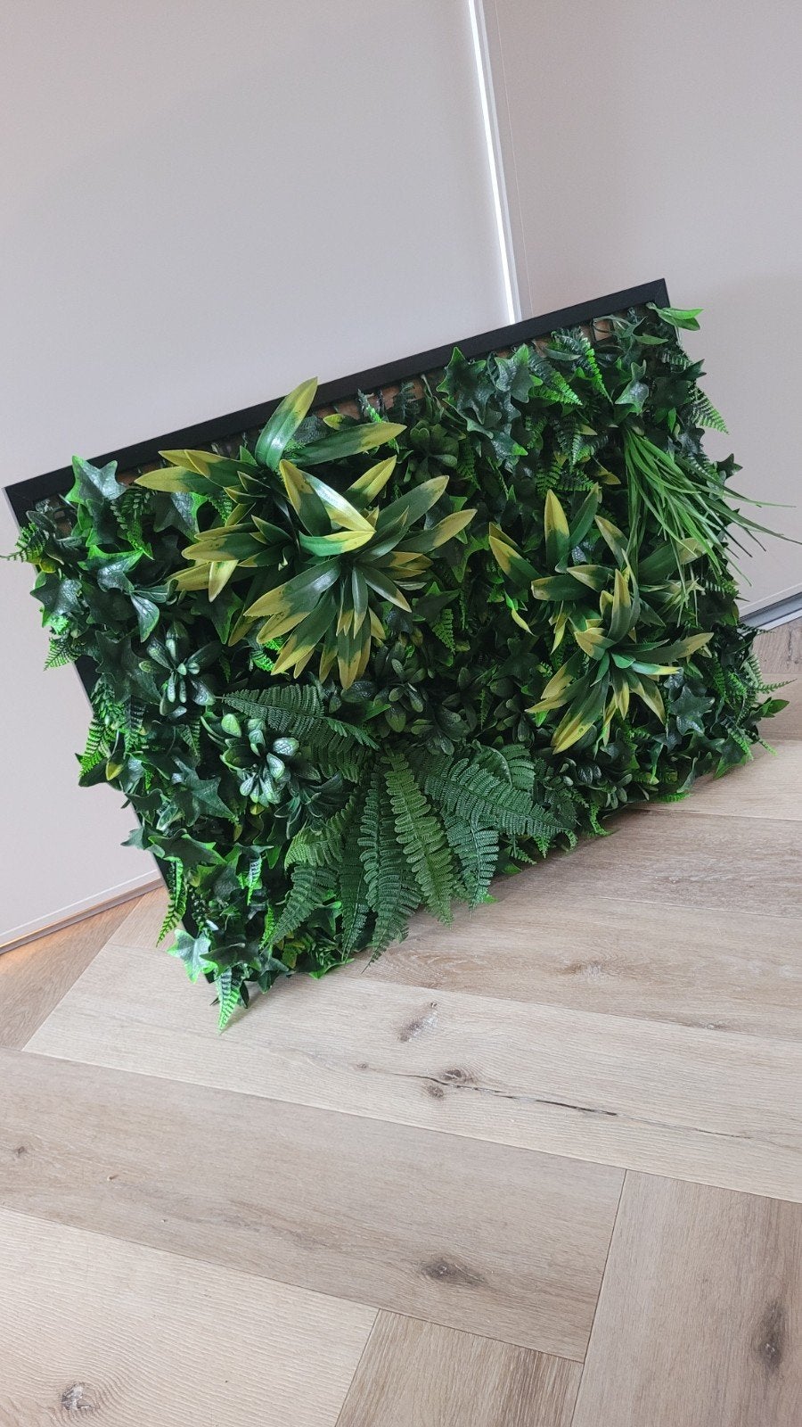 Ophalen - lijst Ribba IKEA zwart 50 x 70cm met kunstplanten, Huis en Inrichting, Woonaccessoires | Lijsten, Ophalen, Zwart, Fotolijst