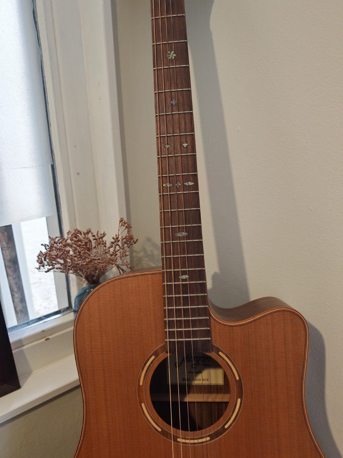 Morgan guitar, Muziek en Instrumenten, Ophalen, Zo goed als nieuw, Western- of Steelstringgitaar