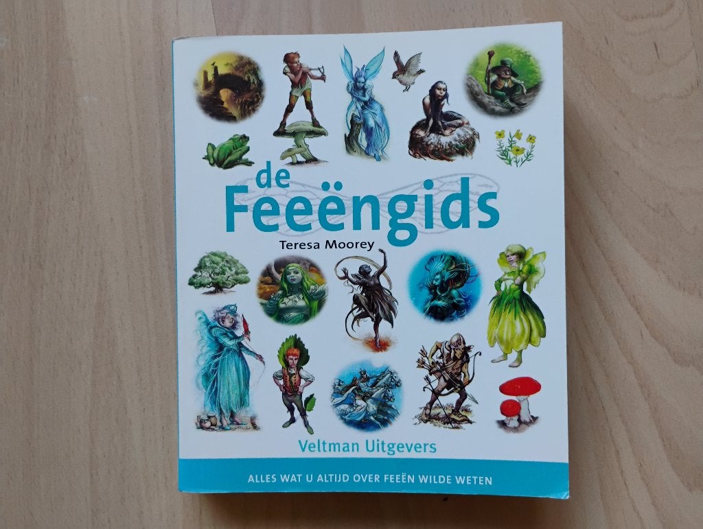 boek de Feeёngids door Teresa Moorey, Boeken, Ophalen of Verzenden, Zo goed als nieuw, Spiritualiteit algemeen, Achtergrond en Informatie