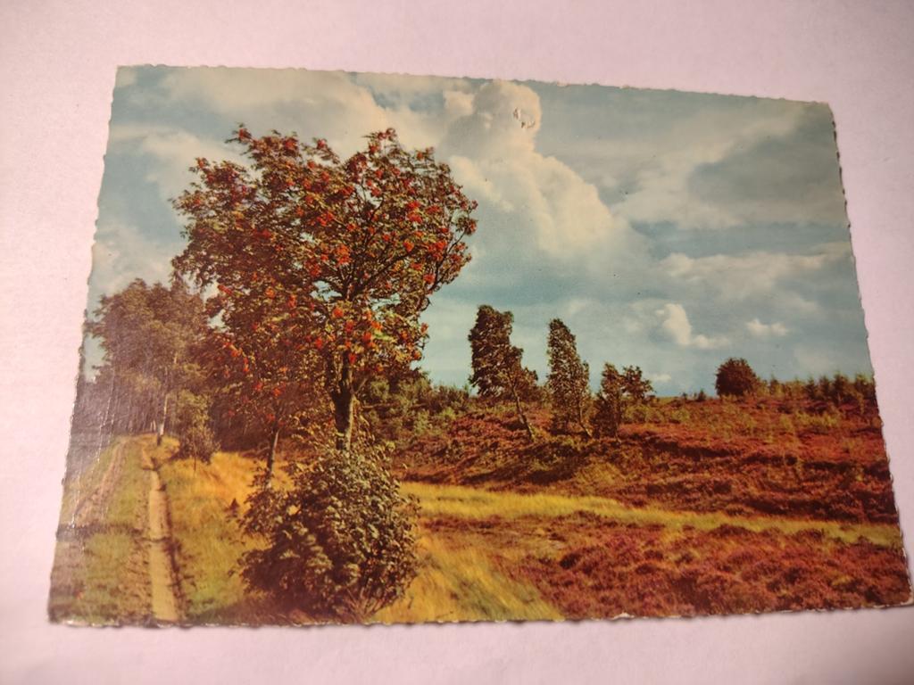 Hulshorst, Ophalen of Verzenden, 1940 tot 1960, Gelderland