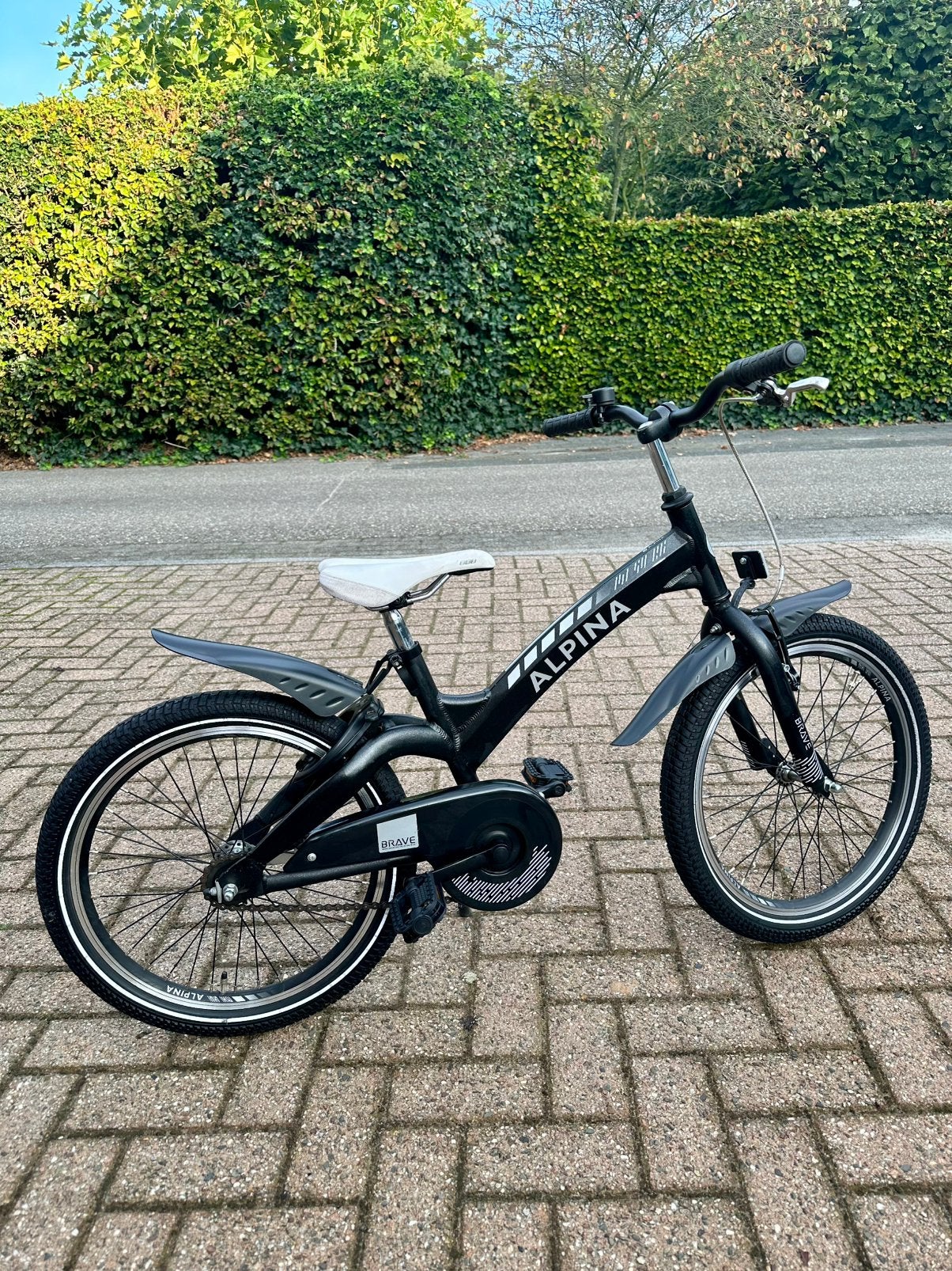 Heel mooie trial-look ATB ALPINA 20 inch, Ophalen, Terugtraprem, 20 inch, Handrem