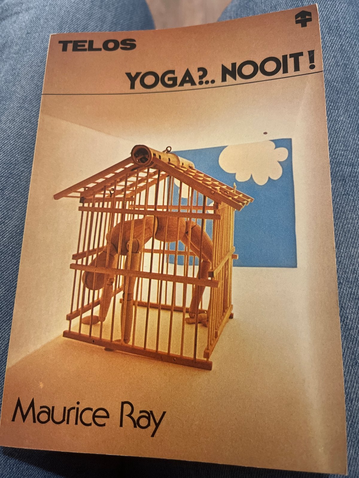 Telos: Yoga?... Nooit! - Maurice Ray (1969), Ophalen of Verzenden, Gelezen, Meditatie of Yoga, Instructieboek