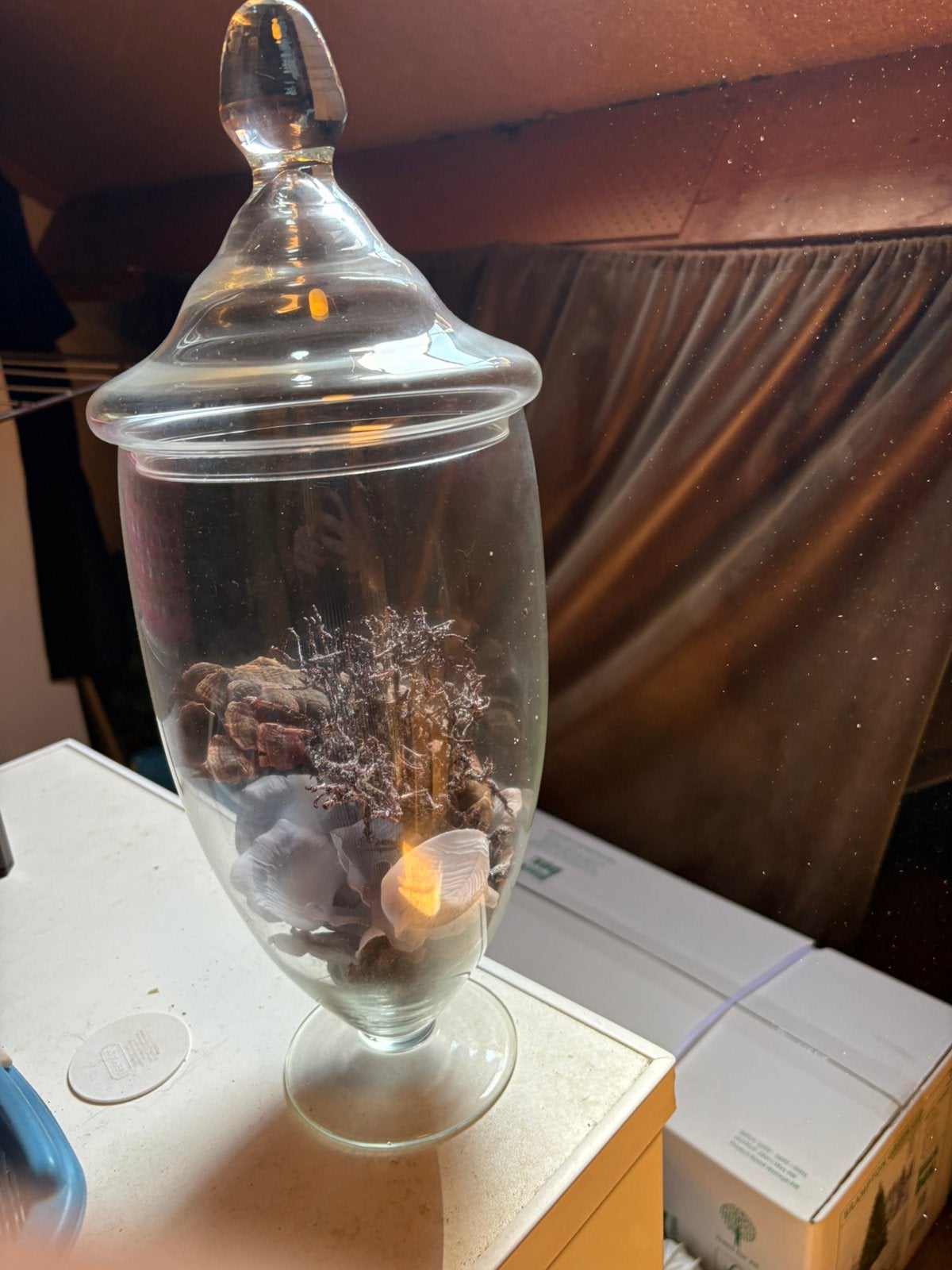 Mooi glazen ornament / stolp, Glas, Ophalen, Gebruikt, Met deksel