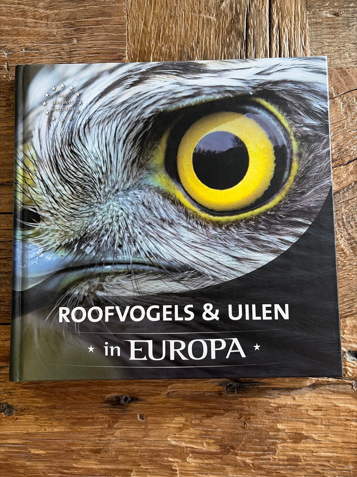 Roofvogels & Uilen in Europa - Een compleet overzicht -nieuw, Ophalen of Verzenden, Nieuw, Vogels