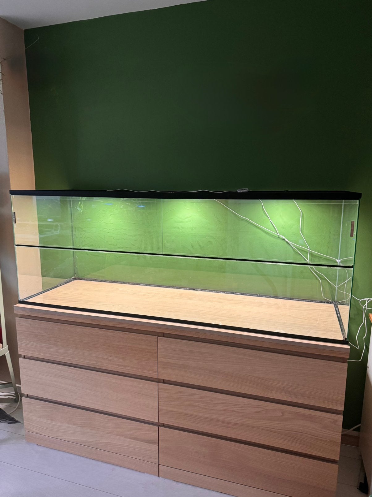 Supergroot terrarium knaagdier verblijf 160x50x60cm, Dieren en Toebehoren, Knaagdieren en Konijnen | Hokken en Kooien, Ophalen