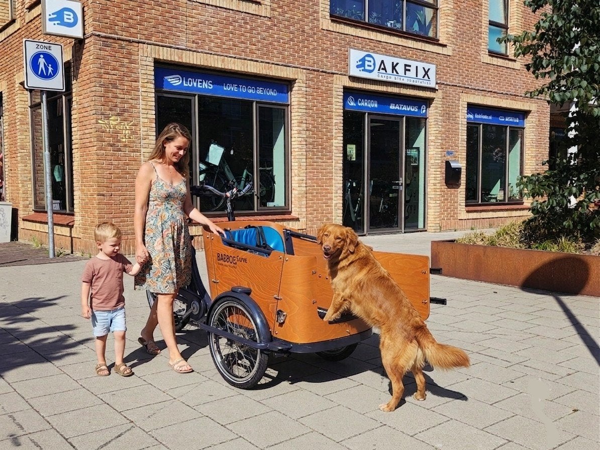 Babboe Curve/Go Dog Elektrische Bakfiets met Regentent, Fietsen en Brommers, Fietsen | Bakfietsen, Ophalen of Verzenden, Babboe