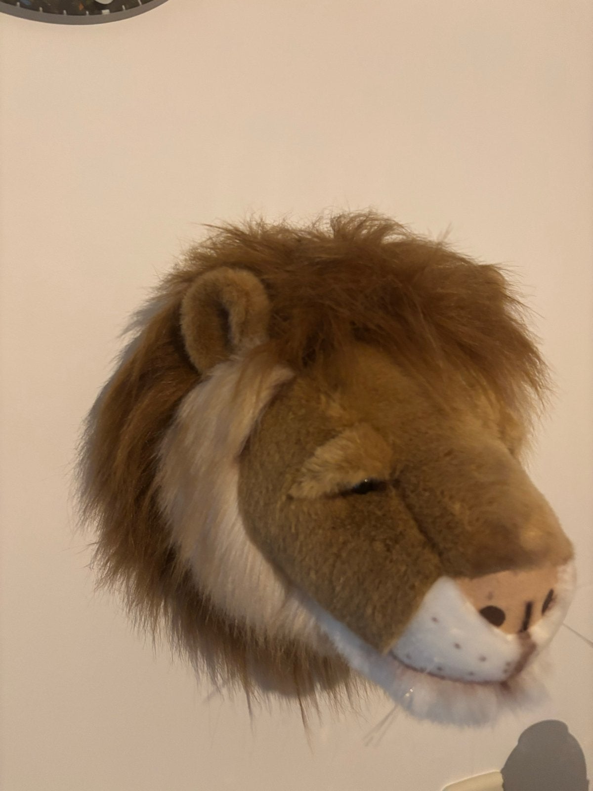 Wild and Soft- Pluche Leeuwenkop Wanddecoratie, Ophalen, Zo goed als nieuw, Middelgroot (20 tot 80 cm), Leeuw