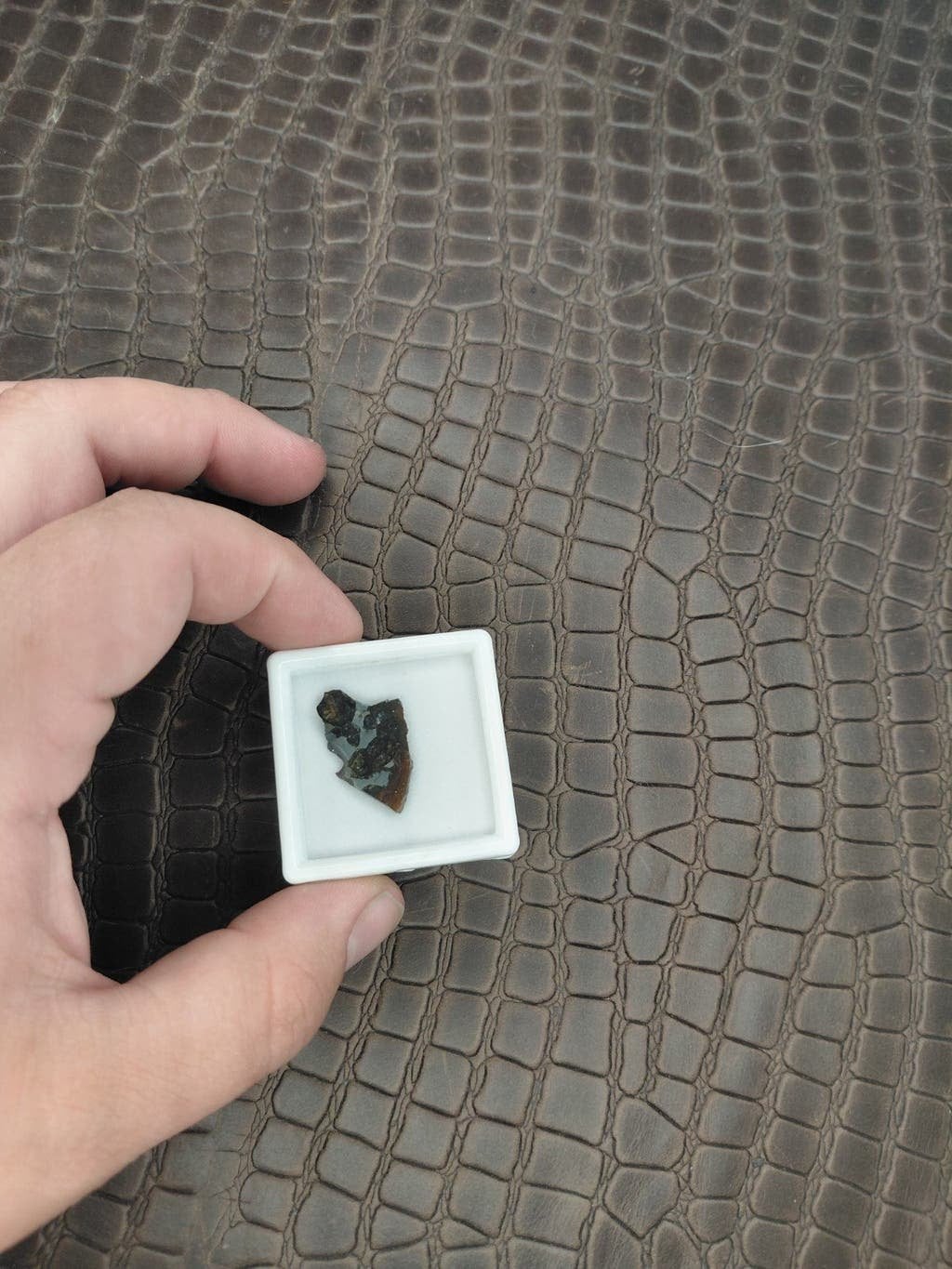 Unieke sericho meteoriet slice met pallasiet, Ophalen of Verzenden, Overige materialen