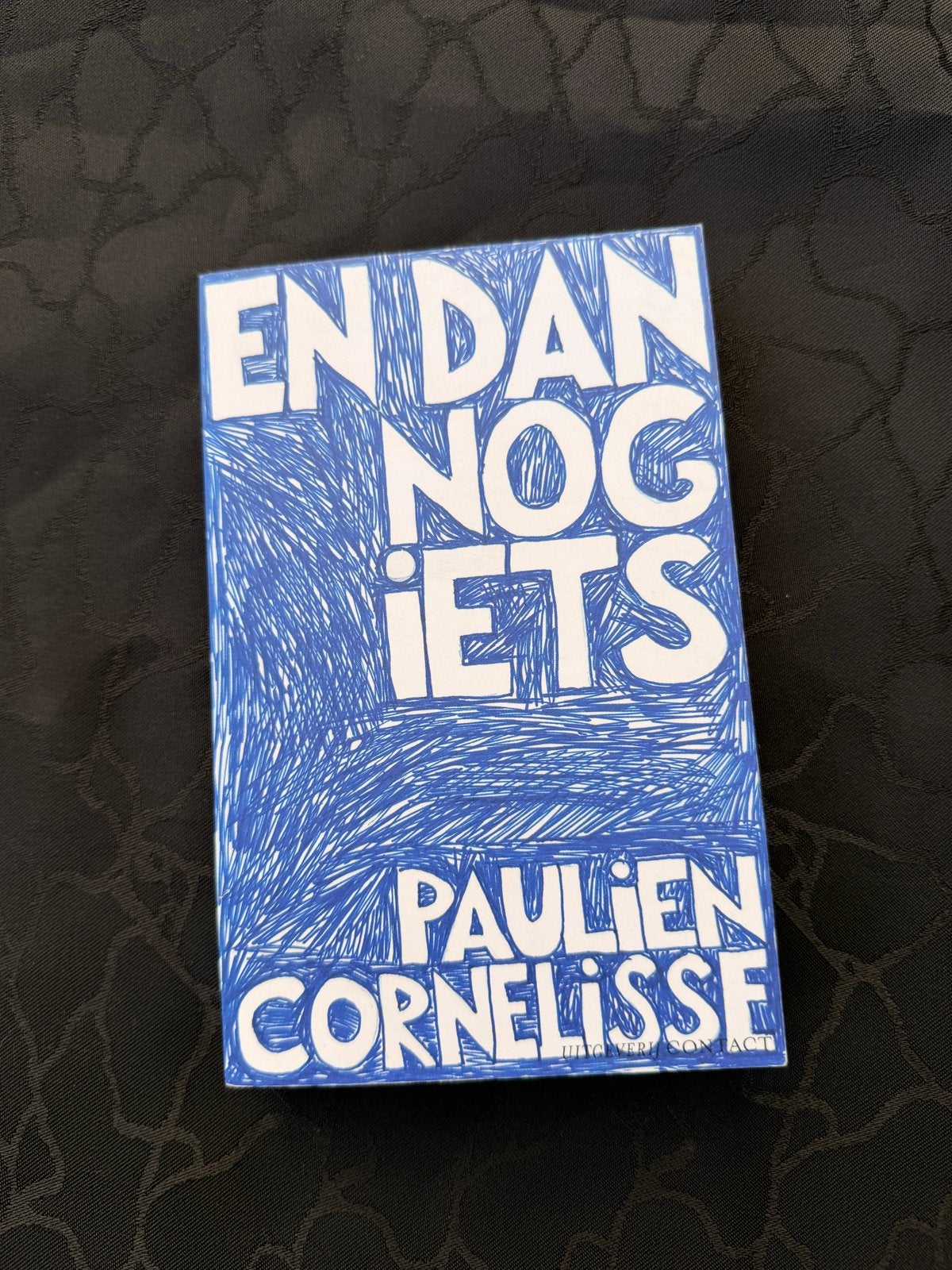 Paulien Cornelisse - En dan nog iets, Boeken, Ophalen of Verzenden, Zo goed als nieuw, Nederland